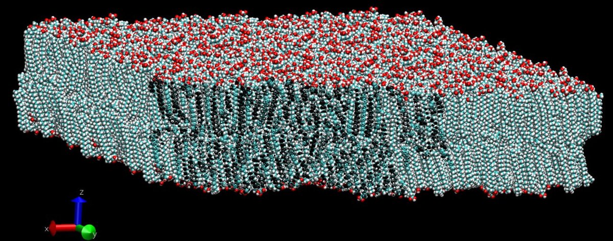 uchyonye nngu priblizilis k razgadke ustojchivosti bakterij tuberkulyoza k antibiotikam 1